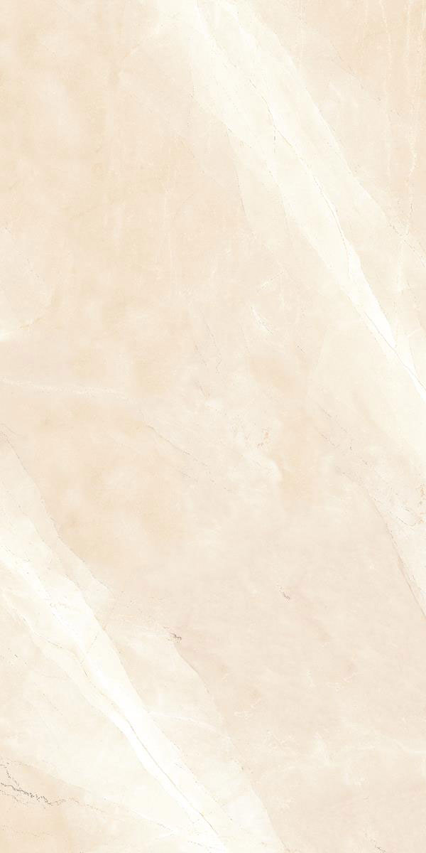 ARNAVA IVORY P2